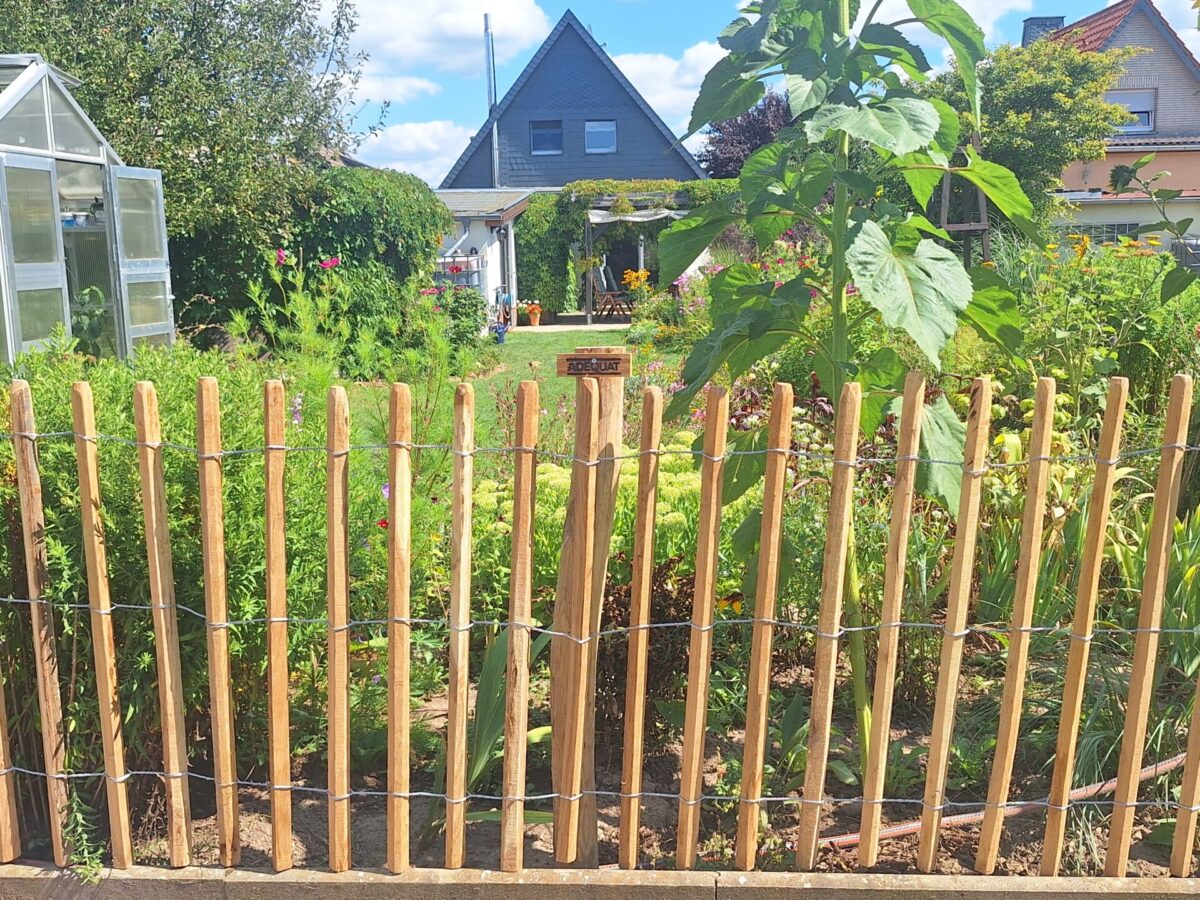 Staketenzaun Robinie 100 cm hoch, Lattenabstand 8 cm, und Robinien Pfost 180 cm lang, Ø 8-10 cm geschält mit Spitze, Gemüsegarten und bunte Blumen