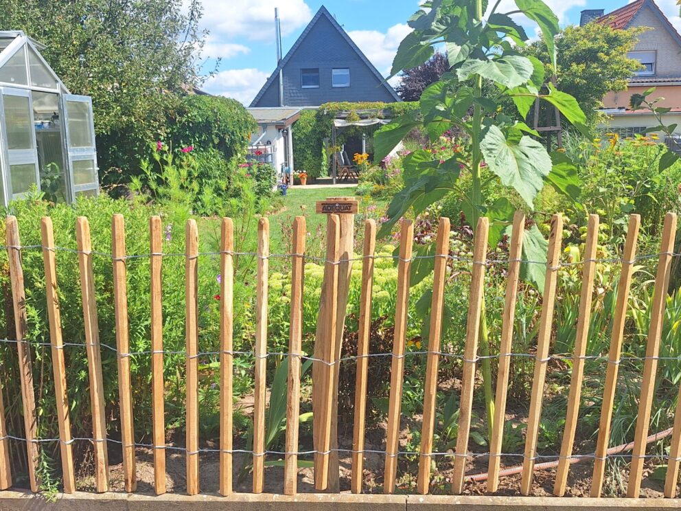 Schöner Gemüsegarten mit fröhlichen Blumen