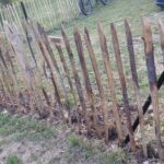 Fr. Staketenzaun Kastanien 100 cm hoch, Abstand 8 cm, 10m Rolle