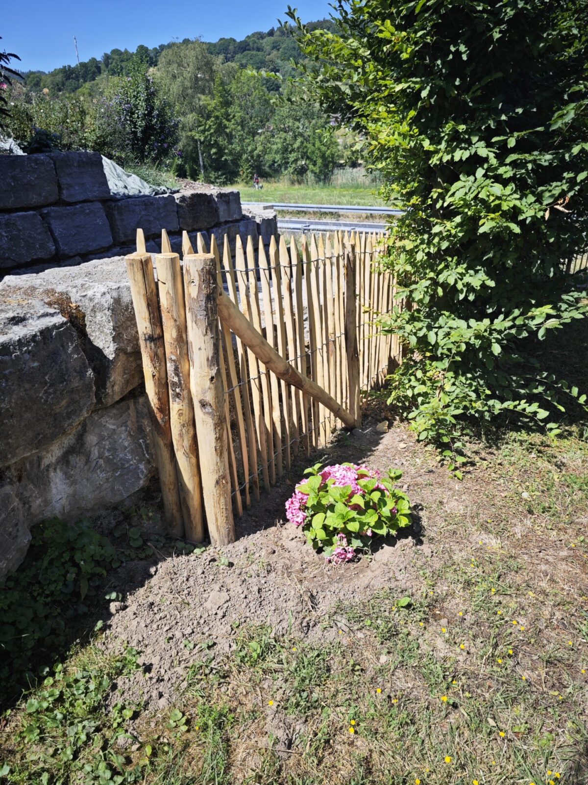 Fr. Staketenzaun Kastanien 120 cm hoch, Abstand 6 cm, 10m Rolle, Kastanien Pfost 200 cm lang, Ø 7-9 cm - mit Spitze, Kastanien Pfost 200 cm lang, Ø 10-12 cm - mit Spitze