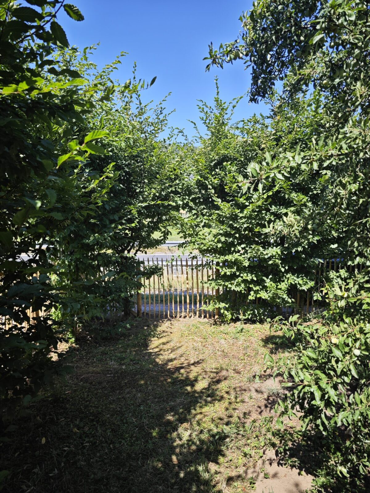 Fr. Staketenzaun Kastanien 120 cm hoch, Abstand 6 cm, 10m Rolle, Kastanien Pfost 200 cm lang, Ø 7-9 cm - mit Spitze, Kastanien Pfost 200 cm lang, Ø 10-12 cm - mit Spitze