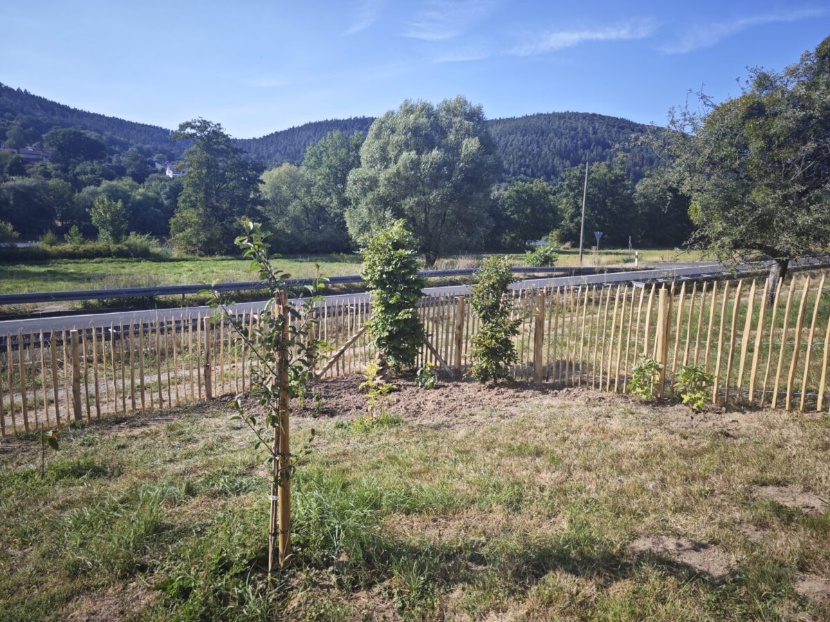 Fr. Staketenzaun Kastanien 120 cm hoch, Abstand 6 cm, 10m Rolle, Kastanien Pfost 200 cm lang, Ø 7-9 cm - mit Spitze, Kastanien Pfost 200 cm lang, Ø 10-12 cm - mit Spitze