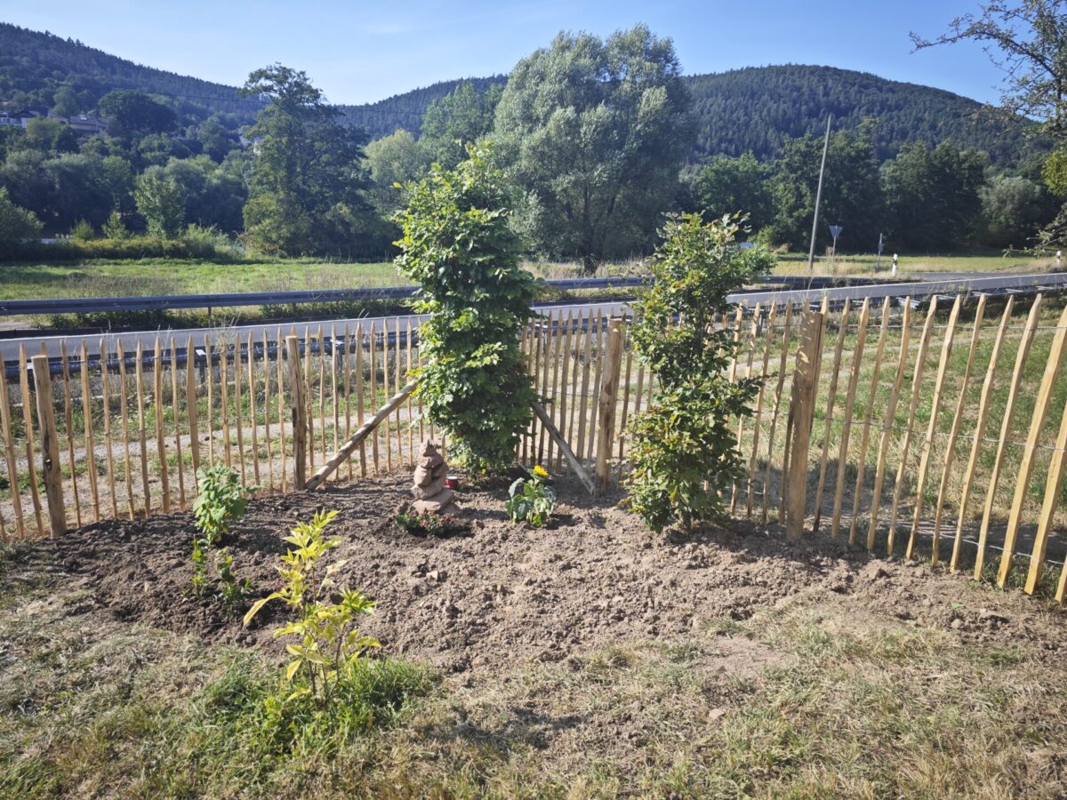 Fr. Staketenzaun Kastanien 120 cm hoch, Abstand 6 cm, 10m Rolle, Kastanien Pfost 200 cm lang, Ø 7-9 cm - mit Spitze, Kastanien Pfost 200 cm lang, Ø 10-12 cm - mit Spitze