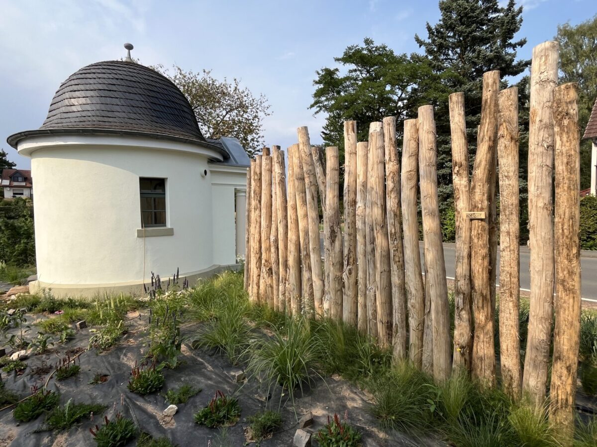 Robinien Pfost 300 cm lang, Ø 12-14 cm geschält mit Spitze und Robinien Pfost 300 cm lang, Ø 12-14 cm geschält mit Spitze