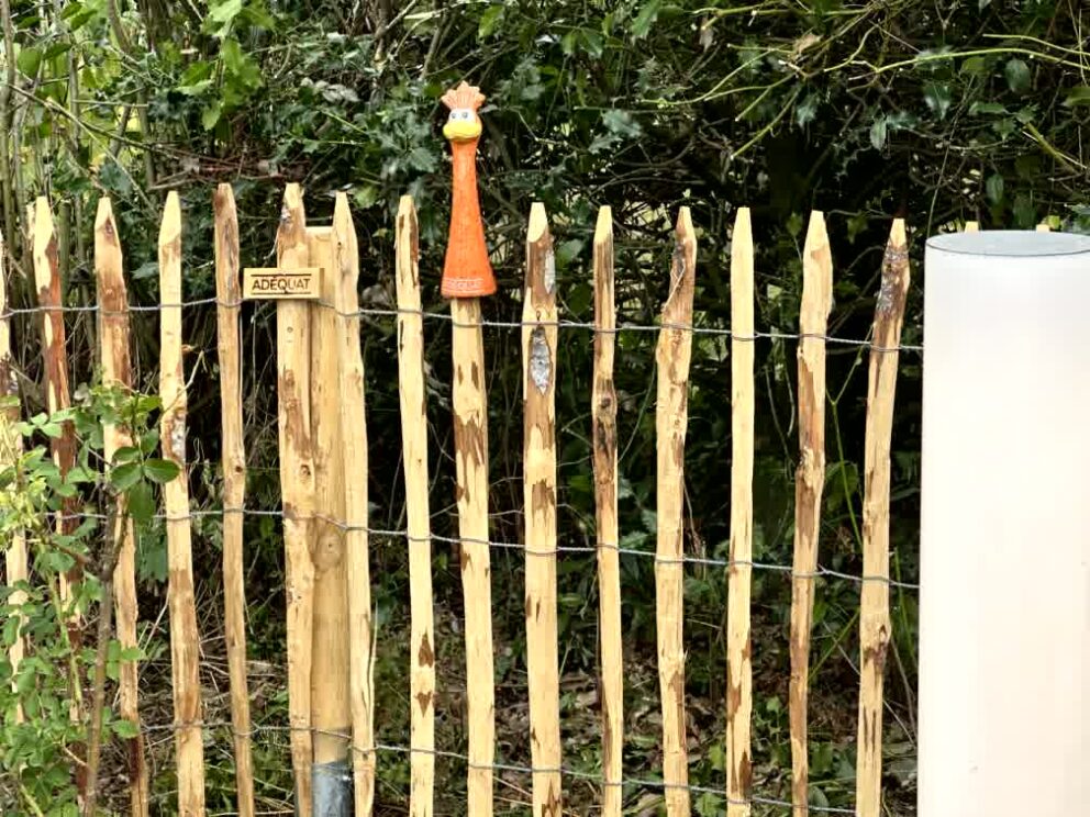 Frans schapenhek kastanje 100 hoog, latafstand 6 cm, 10m rol, Frans schapenhek kastanje 100 hoog, latafstand 6 cm, 10m rol, Kastanjepaal 7-9, 120 cm lang voor bodemhuls, Kastanje balk gezaagd - 8x8x250 cm und zaunhocker
