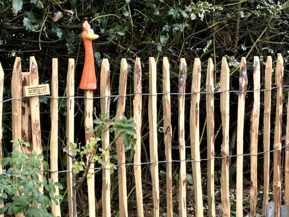 Frans schapenhek kastanje 100 hoog, latafstand 6 cm, 10m rol, Frans schapenhek kastanje 100 hoog, latafstand 6 cm, 10m rol, Kastanjepaal 7-9, 120 cm lang voor bodemhuls, Kastanje balk gezaagd - 8x8x250 cm und zaunhocker