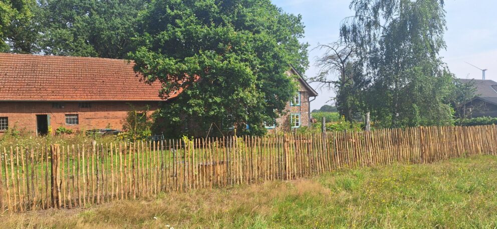 Staketenzaun Kastanie