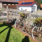 Fr. Staketenzaun Kastanien 100 cm hoch, Abstand 6 cm, 10m Rolle, Kastanien Pfost 250 cm lang, Ø 7-9 cm - HALBRUND, Staketenzauntor nur Rahmen Kastanie einzeln 150Bx100H (cm), Öffnungsrichtung: Rechts und Staketenzauntor nur Rahmen Kastanie doppelt 180Bx100H (cm)