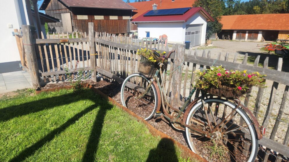 Wunderschöner Staketenzaun Kastanien