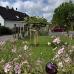 Kastanien Pfost 250 cm lang, Ø 13-16 cm - ohne Spitze