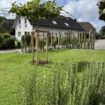 Kastanien Pfost 250 cm lang, Ø 13-16 cm - ohne Spitze