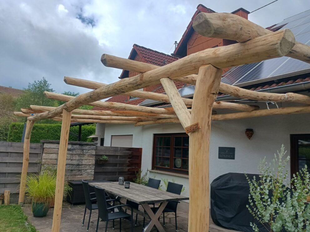 Robinien Pfost 250 cm lang, Ø 6-8 cm, geschält mit Spitze, Robinien Pfost 250 cm lang, Ø 8-10 cm, Sonnenschutz, Pergola und Überdachung