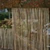 Fransk kastanjehegn 200 cm Adequat