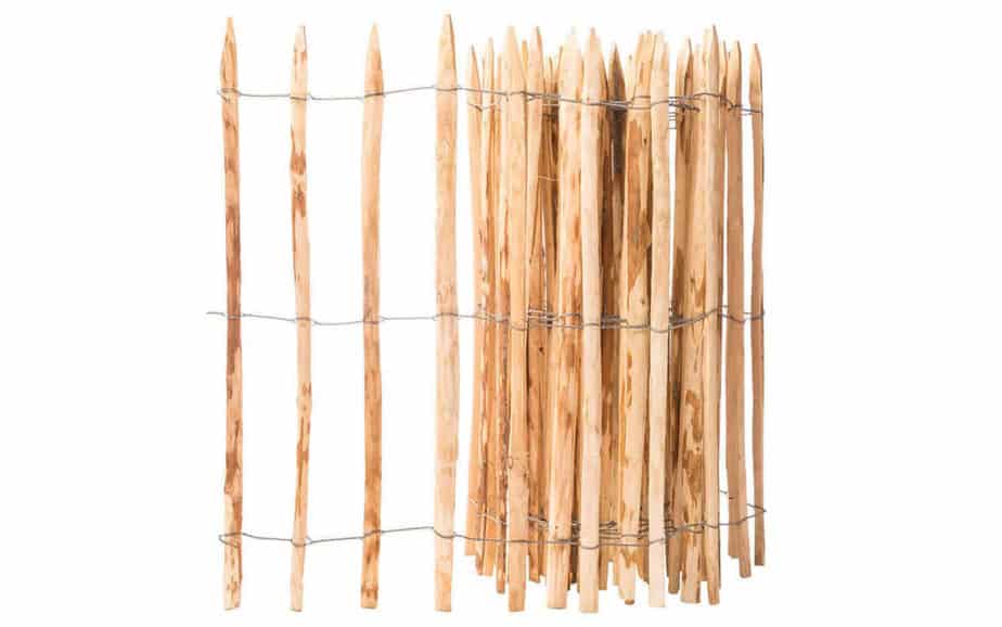 Fransk kastanjehegn 120 cm højt