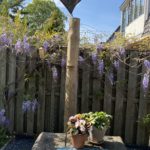 Poteaux robinier écorcés et poncés