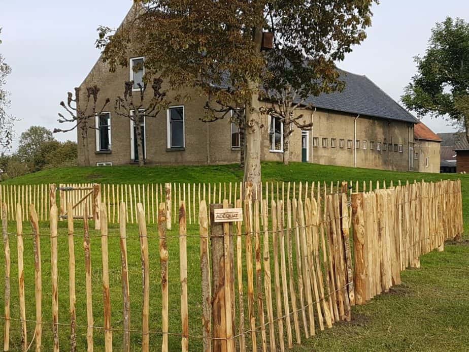 Ganivelle française 80 cm Adequat
