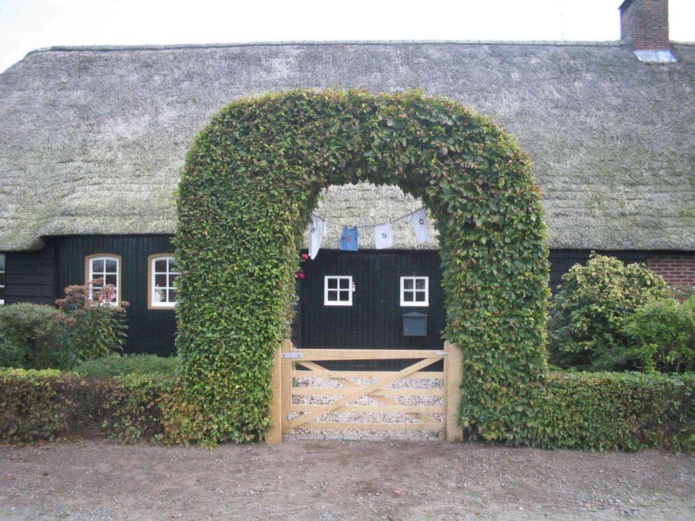 Portail anglais pour pré chêne