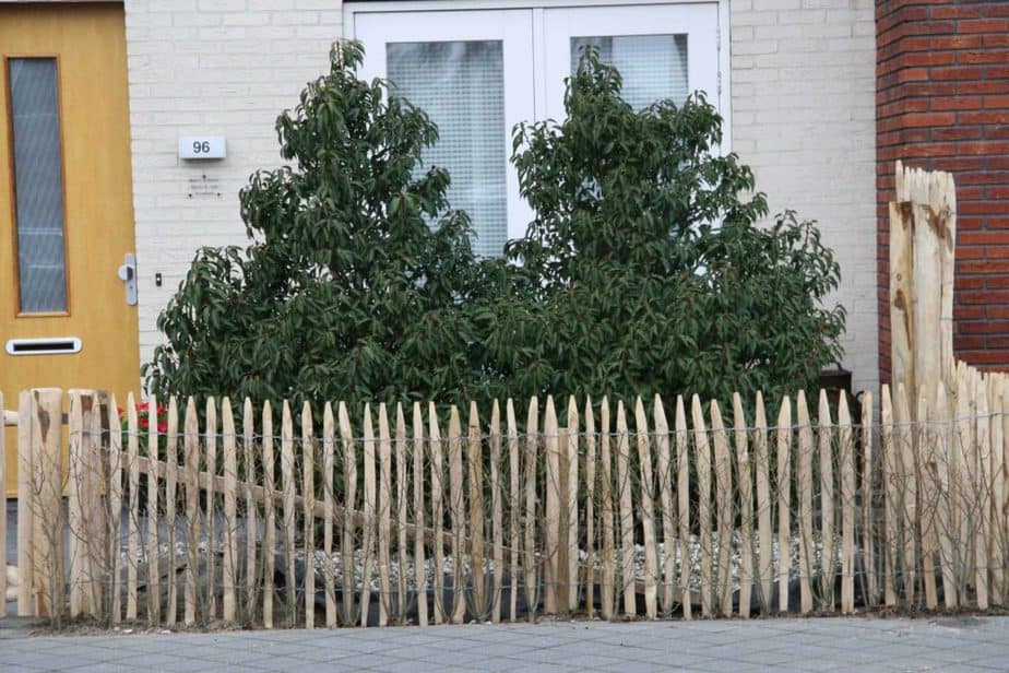 Ganivelle française 80 cm de hauteur