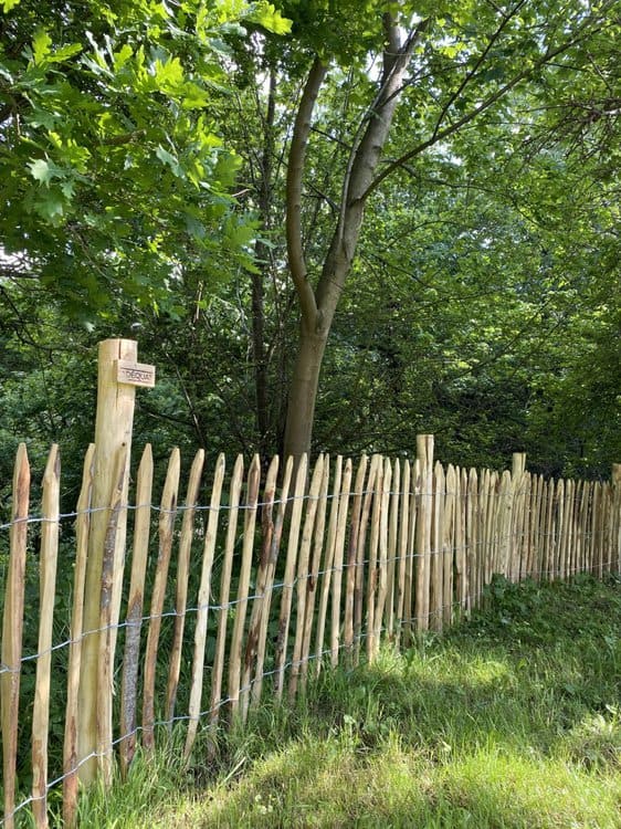 Clôture ganivelle 100 cm Adequat