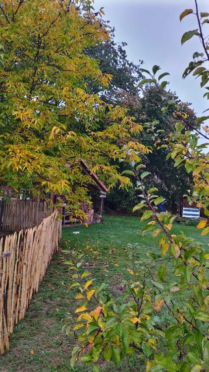Clôture ganivelle en bois de châtaignier 120 cm Adequat