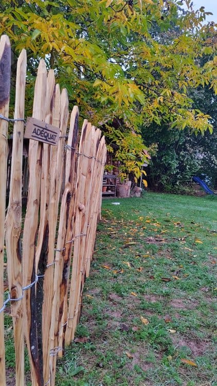 Clôture ganivelle en bois de châtaignier 120 cm Adequat