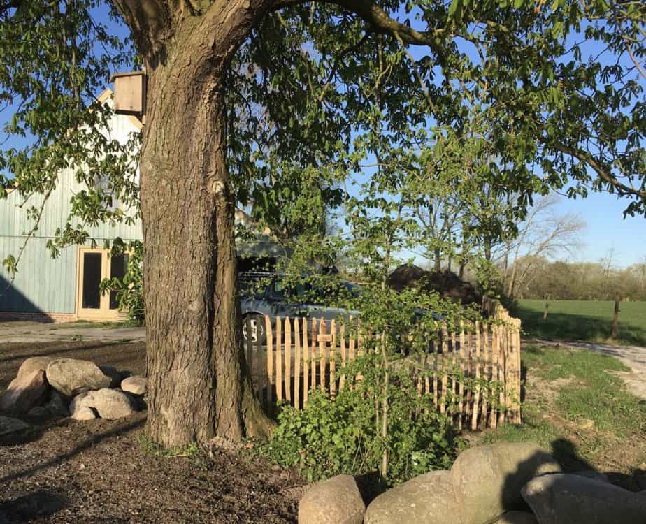 Clôture ganivelle en bois de châtaignier 100 cm Adequat