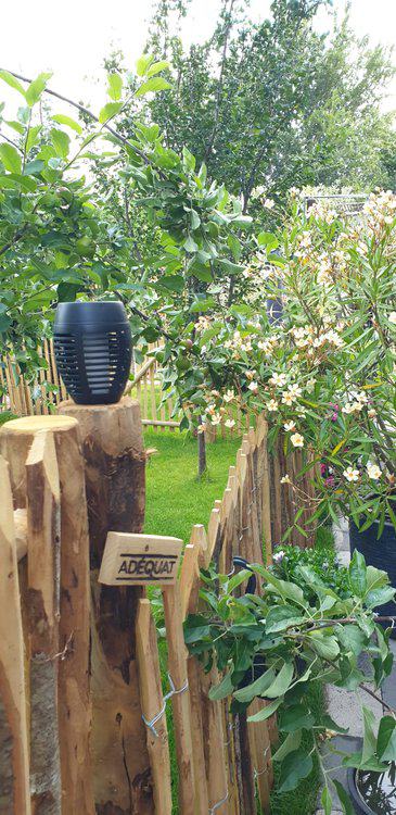 Clôture ganivelle 100 cm Adequat