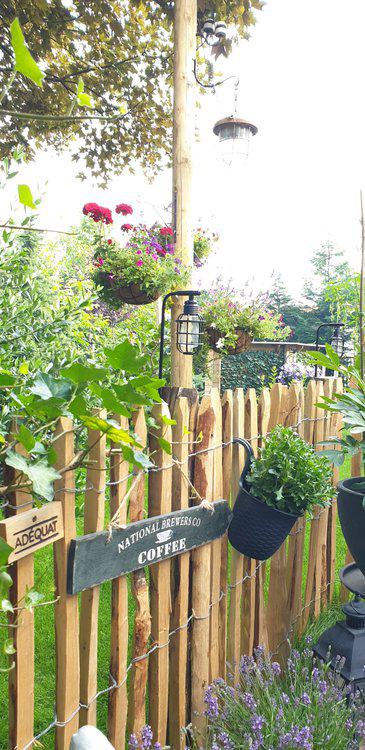 Clôture ganivelle 100 cm Adequat