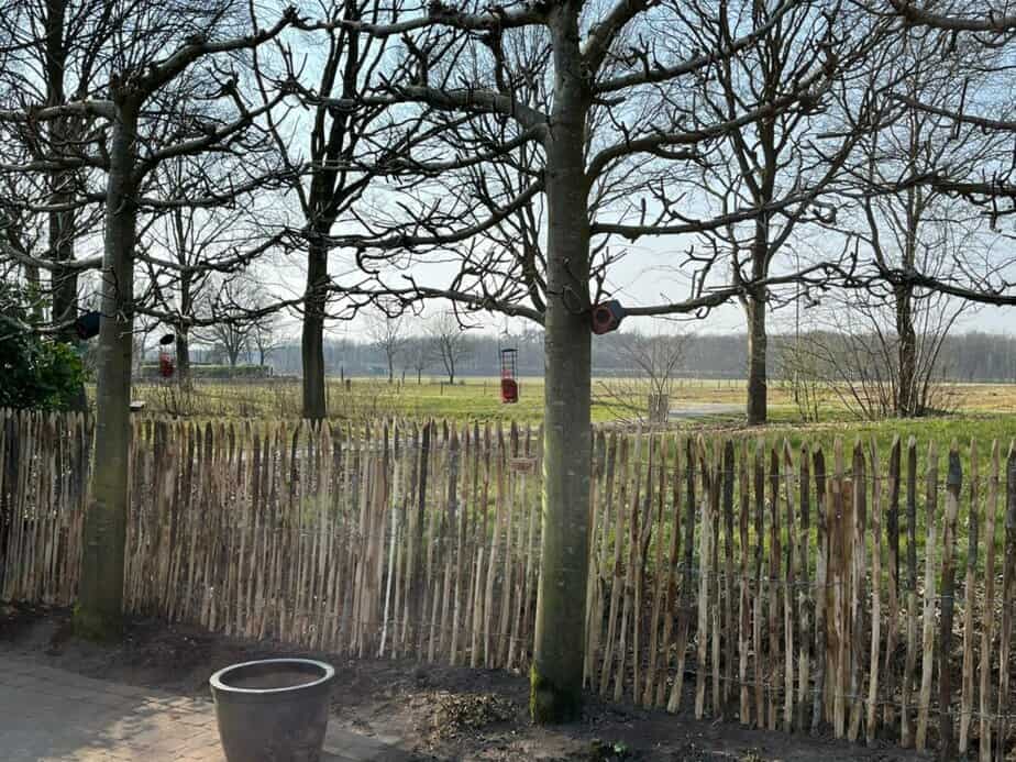 Clôture ganivelle en bois de châtaignier 120 cm Adequat
