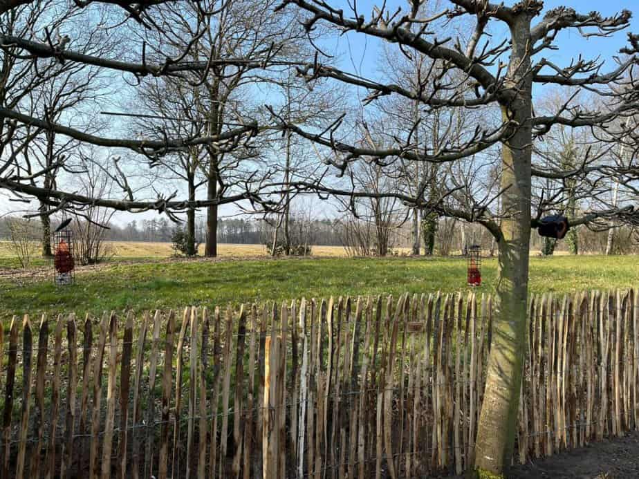 Clôture ganivelle en bois de châtaignier 120 cm Adequat