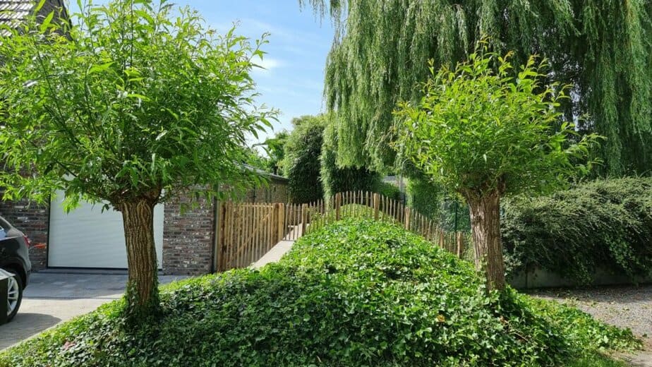 Clôture ganivelle 80 cm Adequat