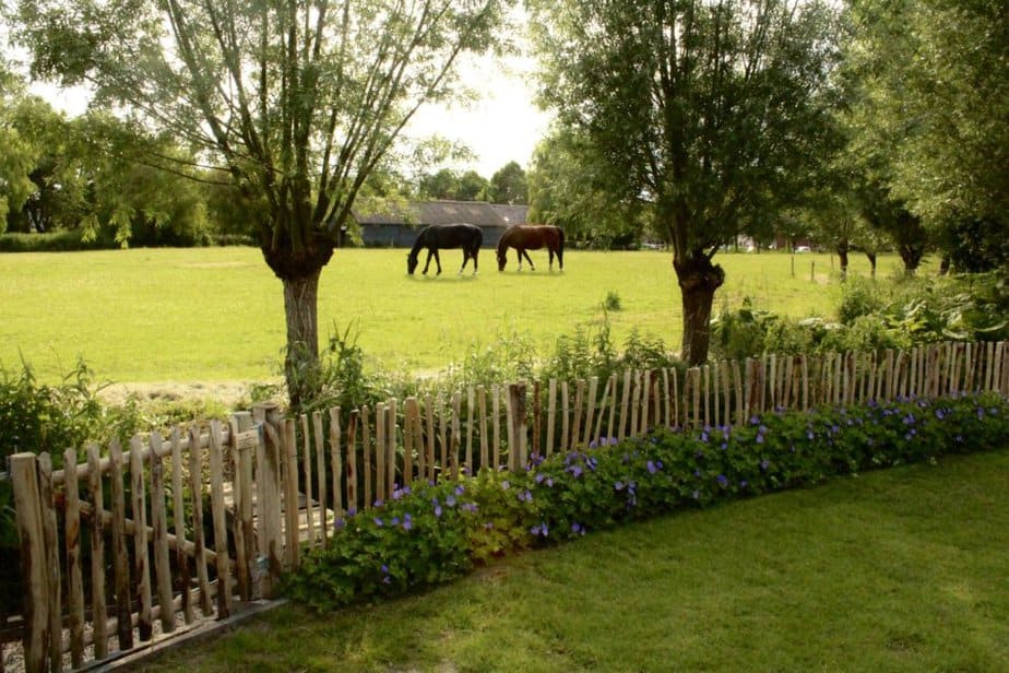 Clôture ganivelle en bois de châtaignier 80 cm Adequat