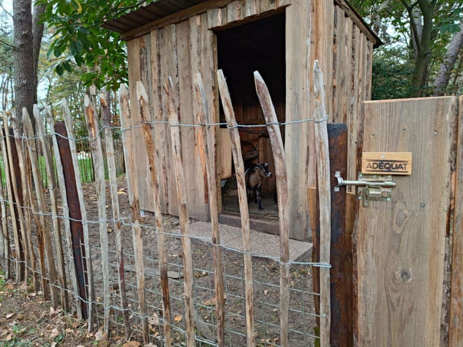 Clôture ganivelle en bois de châtaignier 120 cm Adequat