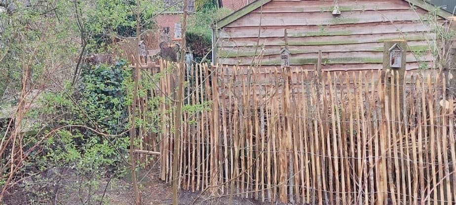 Clôture ganivelle en bois de châtaignier 175 cm Adequat