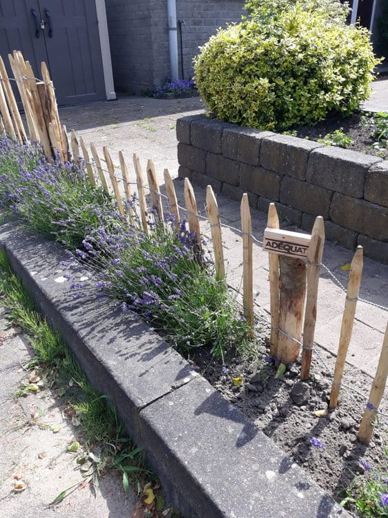 Grille de séparation 50 cm Adequat