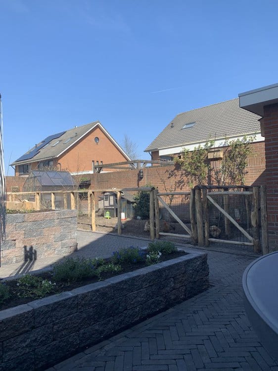 Portail en châtaigner cadre ganivelle 100 cm Adequat