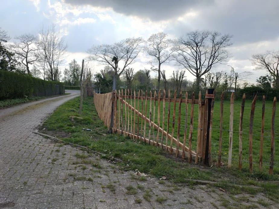 Clôture ganivelle 120 cm Adequat
