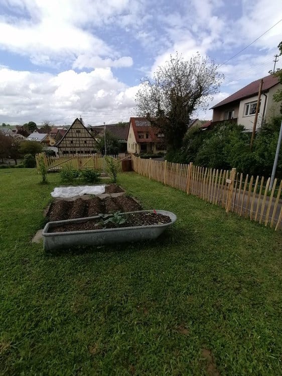 Clôture ganivelle 80 cm Adequat