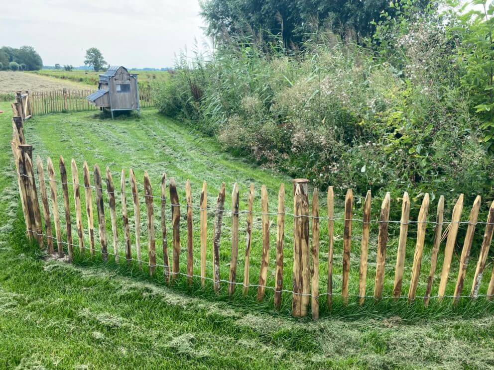 Grille de séparation 80 cm Adequat