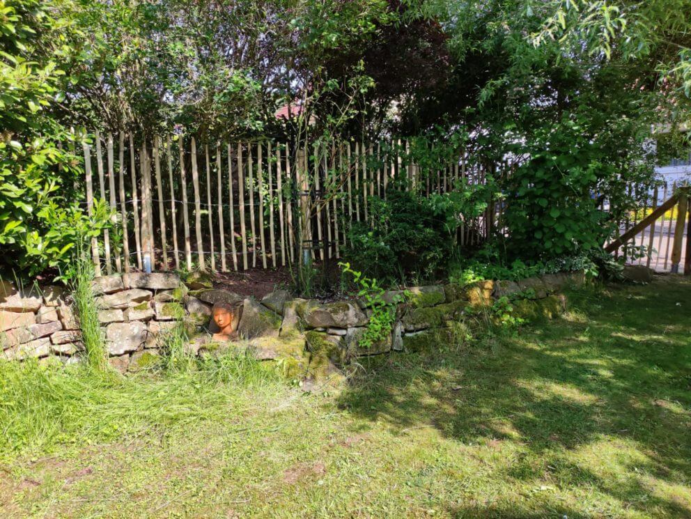 Clôture ganivelle 120 cm Adequat