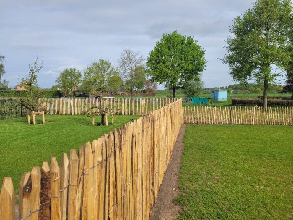 Clôture ganivielle française en bois de châtaignier de 80 cm de hauteur et avec un espacement de 4 entre les lattes
