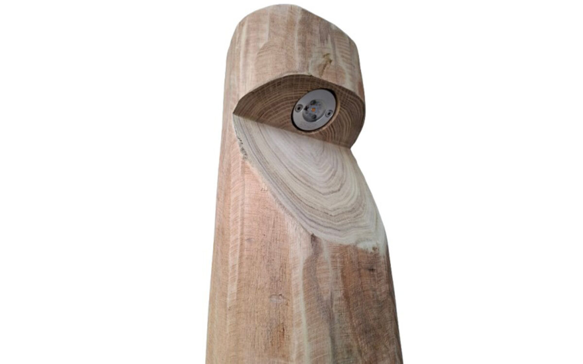 Borne lumineuse ronde Billy robinier