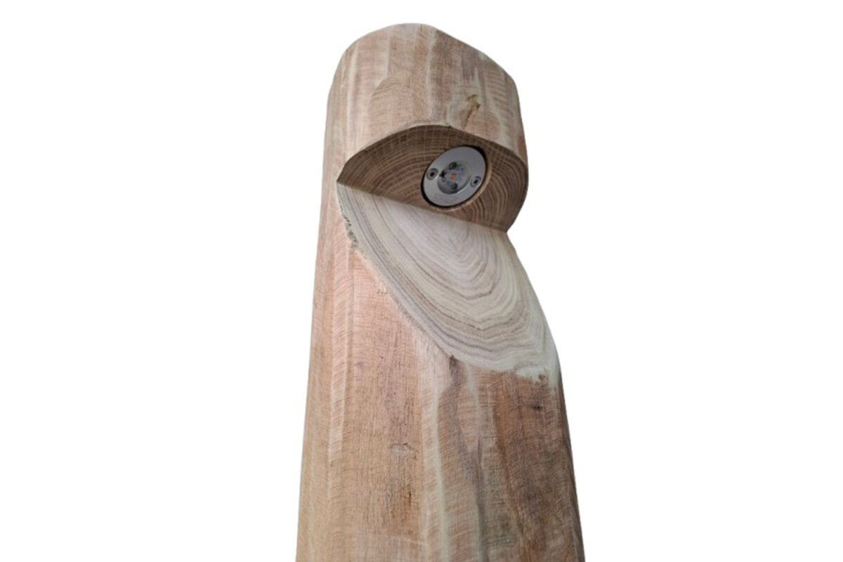 Borne lumineuse ronde Billy robinier