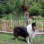 Clôtures pour animaux