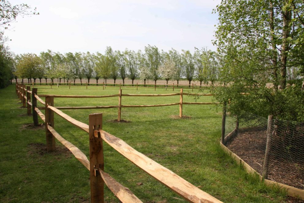 Post & Rail, lisse d’un quart en châtaignier