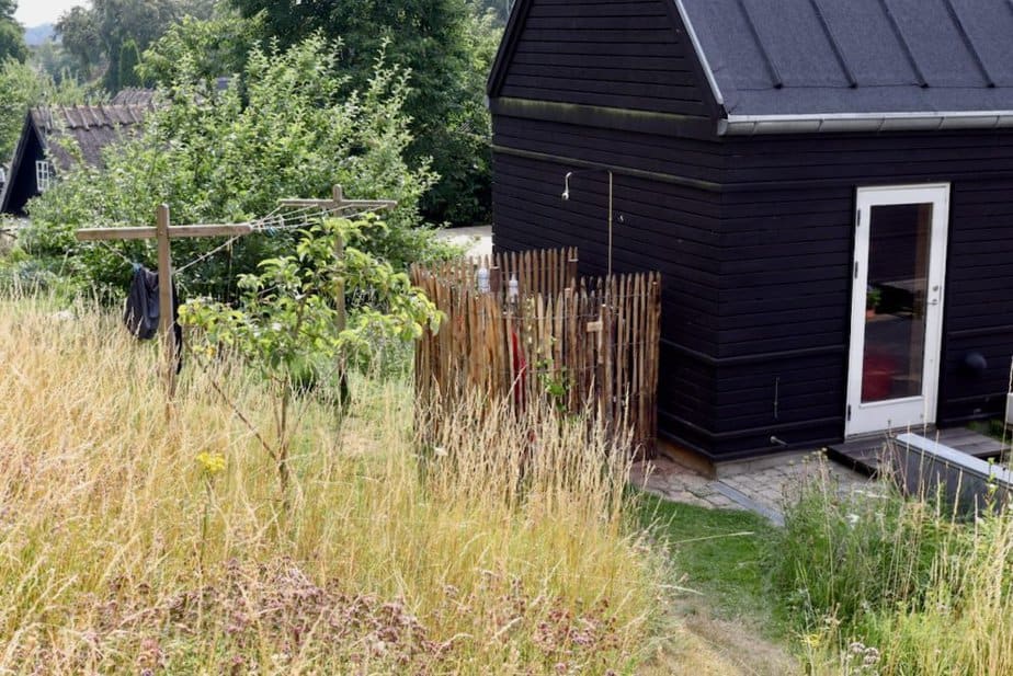 Clôture ganivelle en bois de châtaignier 150 cm Adequat