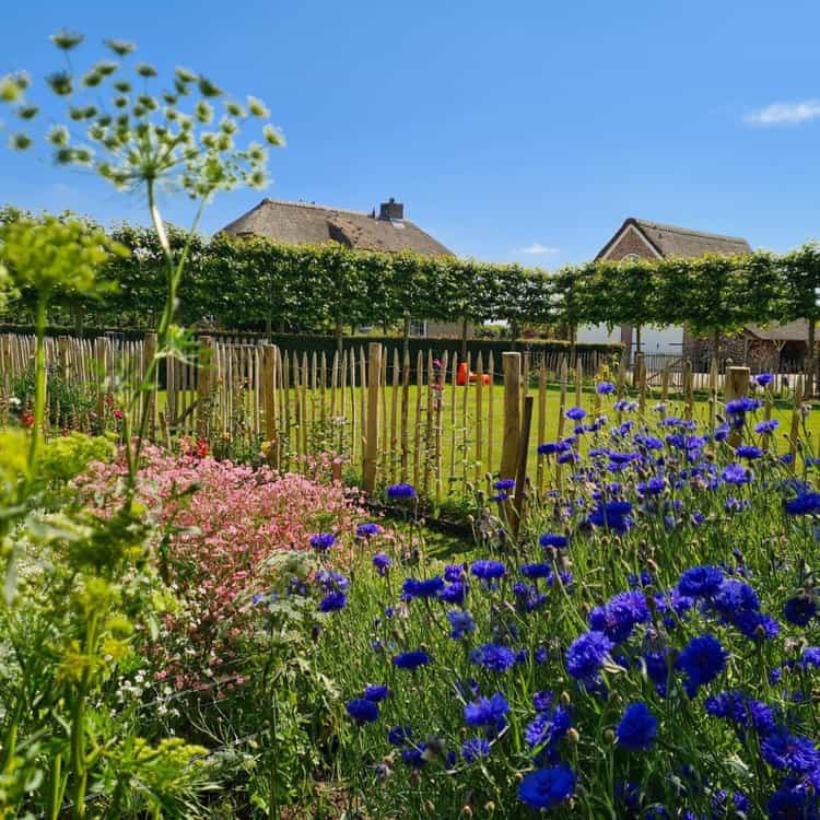 Clôture ganivelle en bois de châtaignier 100 cm Adequat