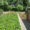 Grille de séparation 80 cm Adequat
