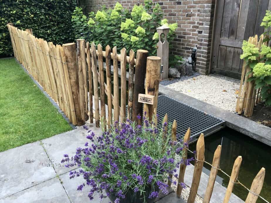 Clôture ganivielle française en bois de châtaignier de 50 cm de hauteur et avec un espacement de 10 cm entre les lattes.