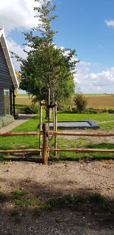 Post & Rail Niveau 2 Adequat